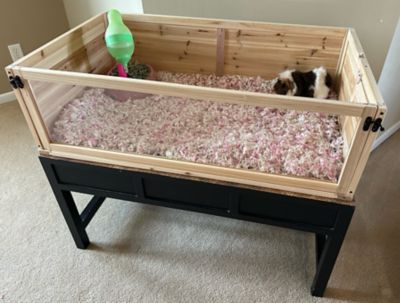 Image showing 5 th Zylina Healthy Habitat For Guinea Pigs - 1 Bay