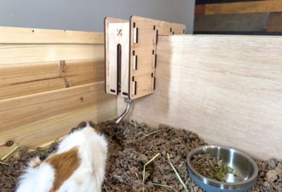 Image showing 6 th Zylina Healthy Habitat For Guinea Pigs - 1 Bay