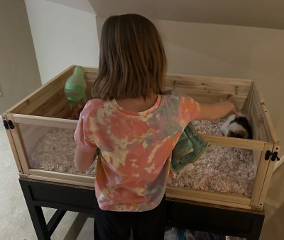 Image showing 8 th Zylina Healthy Habitat For Guinea Pigs - 1 Bay