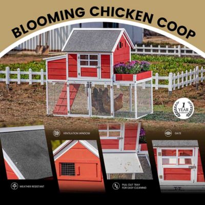 Image showing  Blooming Chicken Coop, 4 Chicken Capacity