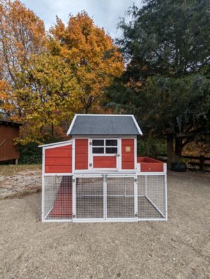 Image showing  Blooming Chicken Coop, 4 Chicken Capacity