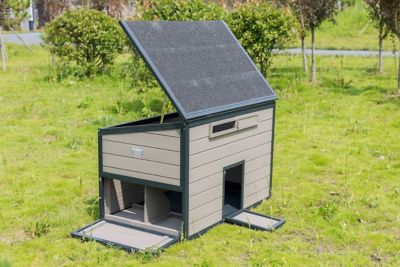 Image showing  Free Range Chicken Coop, 3 Chicken Capacity
