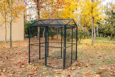 Image showing 5 th Win World Universal Cage