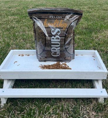 Image showing  Healthy Grubs