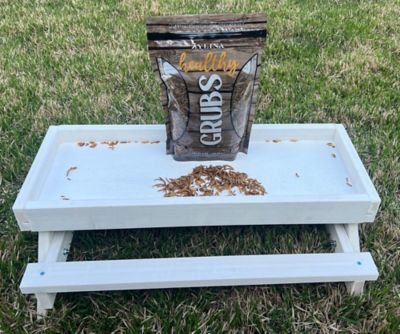 Image showing  Healthy Grubs