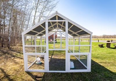 Image showing  Universal Modern Poultry Pen, Large with 1 Nesting Box Attachment