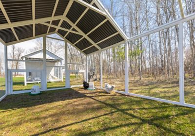 Image showing 5 th Zylina Universal Modern Poultry Pen, Large with 1 Nesting Box Attachment