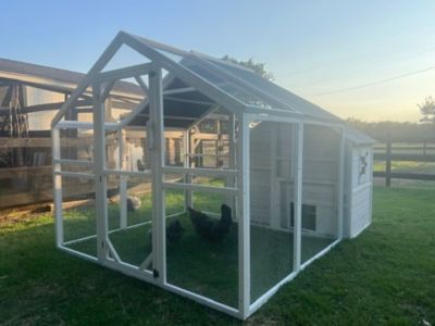 Image showing  3-Compartment Universal Modern Poultry Pen with Nesting & Roosting House Attachment, Medium