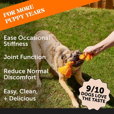 Image showing  Hip and Joint Bone Broth and Glucosamine Oil Supplement for Dogs, Turkey Flavor, 12 oz.