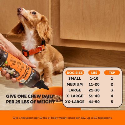 Image showing  Hip and Joint Bone Broth and Glucosamine Oil Supplement for Dogs, Turkey Flavor, 12 oz.