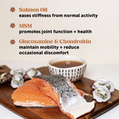 Image showing  Hip and Joint Bone Broth and Glucosamine Oil Supplement for Dogs, Turkey Flavor, 12 oz.