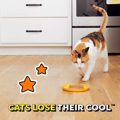 Image showing 5 th Temptations Adult Chicken Bites in Gravy Recipe Wet Cat Food Variety pk., 3.5 oz., 12 pk.