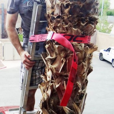 Image showing  E-Track Single Ladder Strap Safety Kit