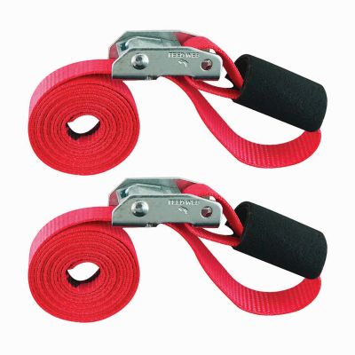 Snap-Loc 1 in. x 6 ft. Cinch Strap Tie-Down with Cam, 1,500 lb. 2 pk.