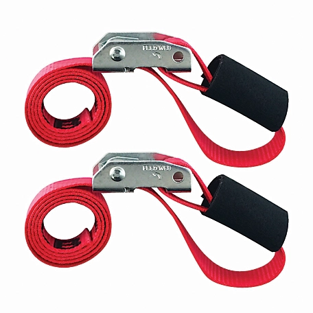 Snap-Loc 1 in. x 3 ft. Cinch Strap Tie-Down with Cam, 1,500 lb., 2 pk.