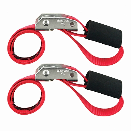 Snap-Loc 1 in. x 2 ft. Cinch Strap Tie-Down with Cam, 1,500 lb., 2 pk.