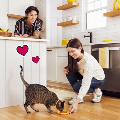 Image showing 8 th Temptations Wet Tasty Chicken Loaf, 3.5 oz.