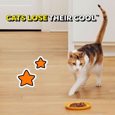 Image showing 6 th Temptations Wet Cuts in Gravy Seafood Medley, 3.5 oz.