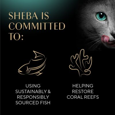 Image showing 5 th Sheba Gravy Indulgence Multipack Salmon With Extra Rich Gravy & Whitefish With Extra Rich Gravy, 12 ct.