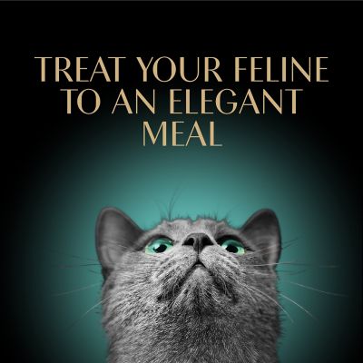 Image showing 7 th Sheba Gravy Indulgence Chicken with Extra Rich Gravy