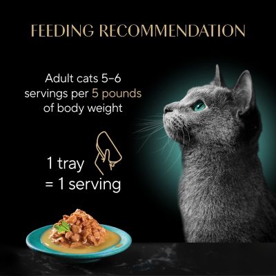 Image showing 9 th Sheba Gravy Indulgence Chicken with Extra Rich Gravy