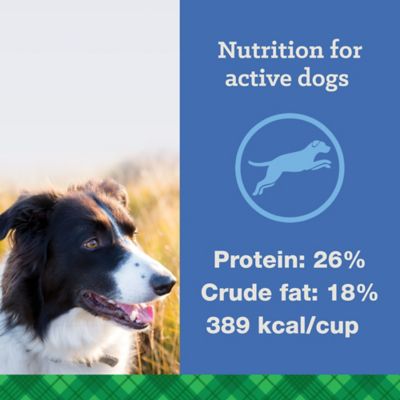 Image showing  Adult Active 26/18 Chicken Recipe Dry Dog Food, 50 lb. Bag