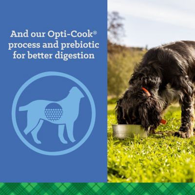 Image showing  Adult Active 26/18 Chicken Recipe Dry Dog Food, 50 lb. Bag