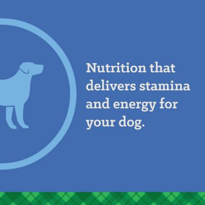 Image showing 6 th Nutrena True Adult Active 26/18 Chicken Recipe Dry Dog Food, 50 lb. Bag