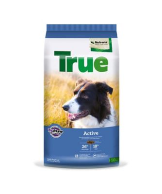Image showing 7 th Nutrena True Adult Active 26/18 Chicken Recipe Dry Dog Food, 50 lb. Bag