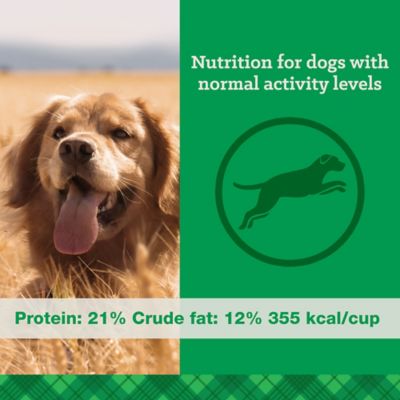 Image showing  Adult Maintenance 21/12 Chicken Recipe Dry Dog Food, 50 lb. Bag