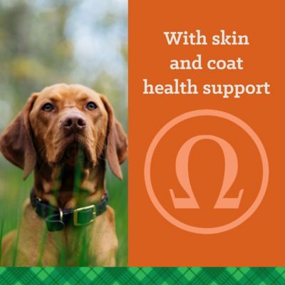 Image showing 6 th Nutrena True All Life Stages Professional 30/20 Chicken Recipe Dry Dog Food, 50 lb. Bag