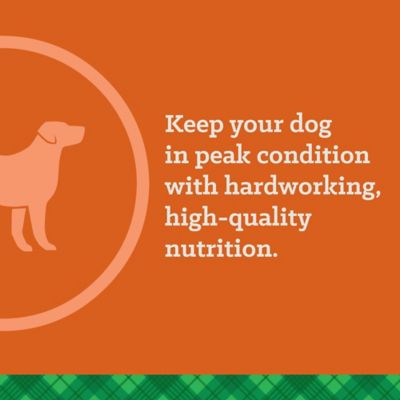 Image showing 7 th Nutrena True All Life Stages Professional 30/20 Chicken Recipe Dry Dog Food, 50 lb. Bag