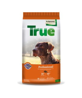 Image showing 8 th Nutrena True All Life Stages Professional 30/20 Chicken Recipe Dry Dog Food, 50 lb. Bag