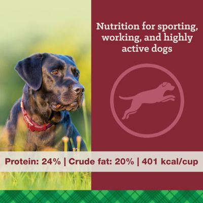 Image showing  Adult High Energy 24/20 Chicken Recipe Dry Dog Food, 50 lb. Bag