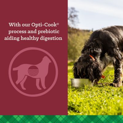 Image showing  Adult High Energy 24/20 Chicken Recipe Dry Dog Food, 50 lb. Bag