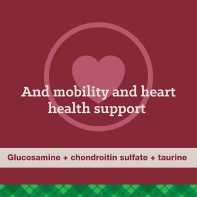 Image showing 5 th Nutrena True Adult High Energy 24/20 Chicken Recipe Dry Dog Food, 50 lb. Bag