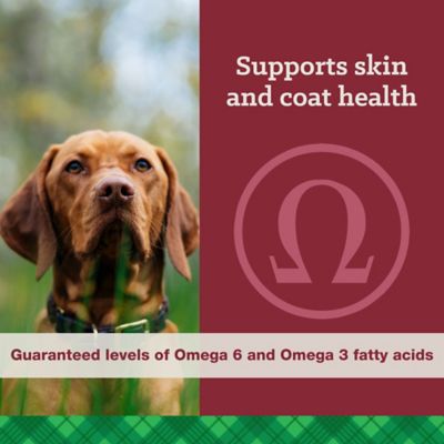 Image showing 6 th Nutrena True Adult High Energy 24/20 Chicken Recipe Dry Dog Food, 50 lb. Bag