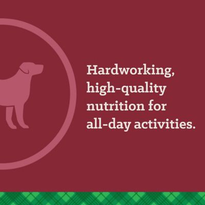 Image showing 7 th Nutrena True Adult High Energy 24/20 Chicken Recipe Dry Dog Food, 50 lb. Bag