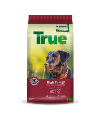 Image showing 8 th Nutrena True Adult High Energy 24/20 Chicken Recipe Dry Dog Food, 50 lb. Bag