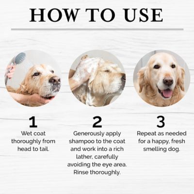 Image showing  6?in?1 Itch Relief Dog Shampoo, 480ml