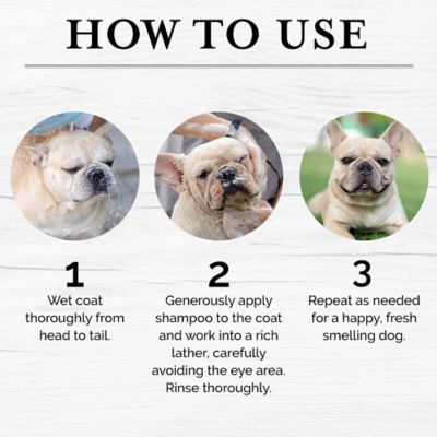 Image showing  5-in-1 Moisturizing Puppy Shampoo, 480 ml