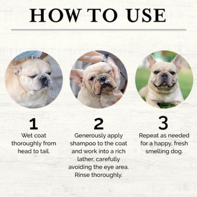 Image showing  5-in-1 Moisturizing Dog Wash, 960 ml