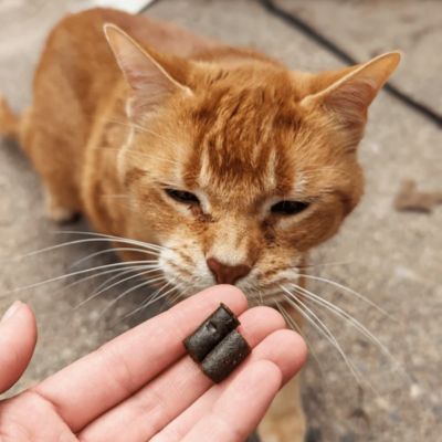 Image showing  Calm Cat Soft Chews, 60 ct