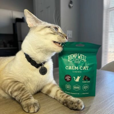 Image showing 5 th Hemp Well Calm Cat Soft Chews, 60 ct