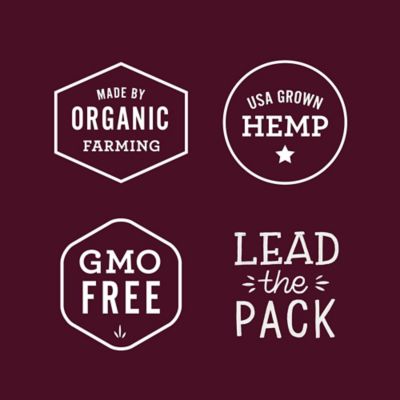 Image showing 6 th Hemp Well Calm Cat Soft Chews, 60 ct