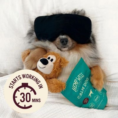 Image showing  Calm Dog Soft Chews - 30 ct