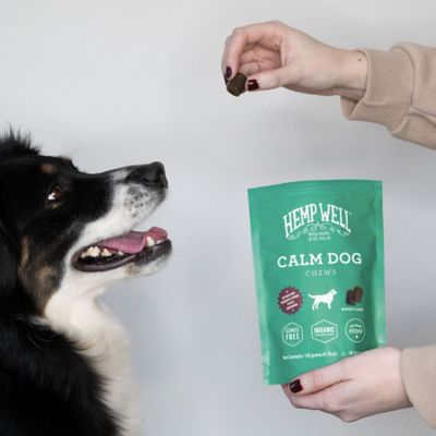 Image showing 7 th Hemp Well Calm Dog Soft Chews - 30 ct