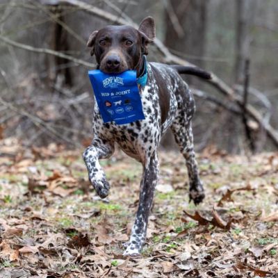 Image showing  Hip & Joint Dog Soft Chews - 30 ct