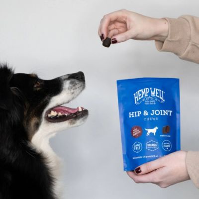 Image showing 5 th Hemp Well Hip & Joint Dog Soft Chews - 30 ct