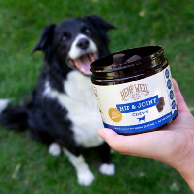 Image showing 7 th Hemp Well Hip & Joint Dog Soft Chews - 30 ct